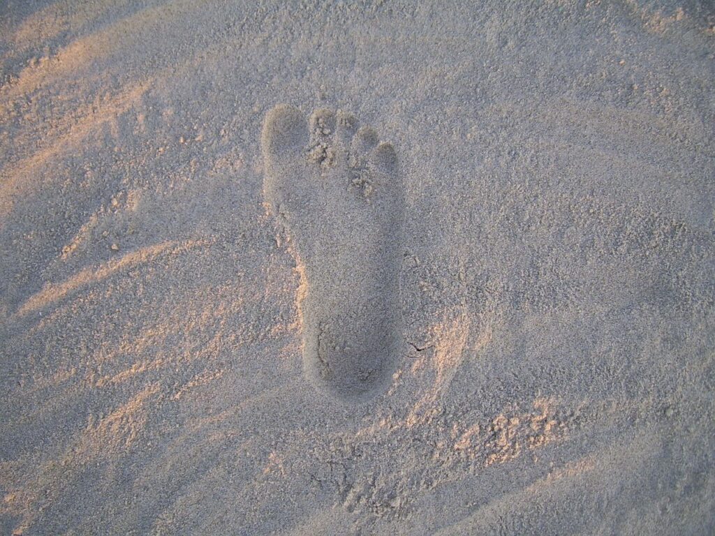 footprint, sand, lone-19649.jpg